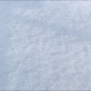 Meet your Posher, Chunyan